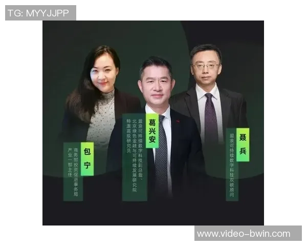 足球场投资回报分析如何实现经济效益最大化与可持续发展策略探讨 足球场投资回报分析如何实现经济效益最大化与可持续发展策略探讨