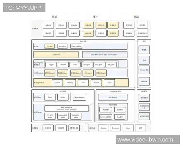 足球研究文献综述与分析方法探讨及其应用价值