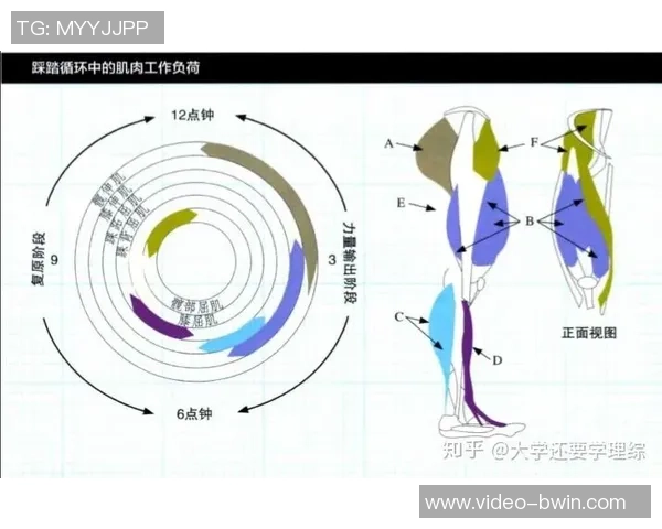 选择合适的足球袜长度提升运动表现与舒适度的全面指南